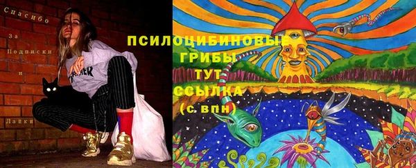 ешки Дмитриев