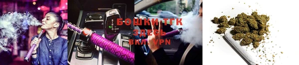 ешки Дмитриев