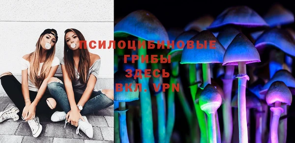 ешки Дмитриев